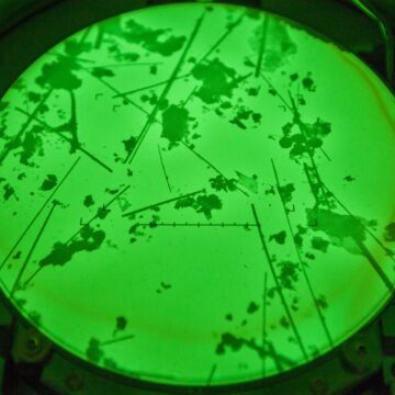 How Common is Asbestos in Soil?