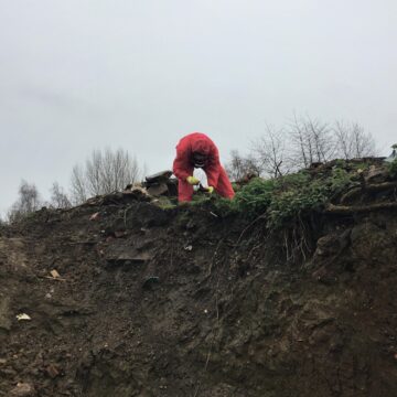 How Much Does It Cost to Remove Contaminated Soil